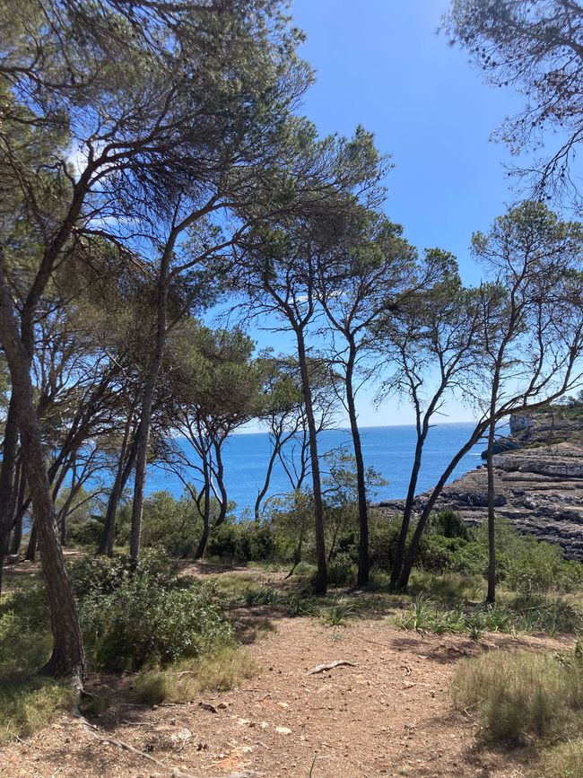 Cala Mondrago-es wird angebadet