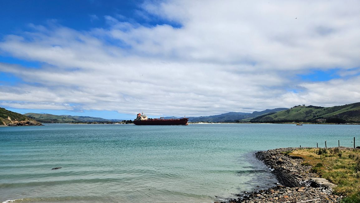 Timaru - Oamaru - Moeraki - Dunedin - Otago Peninsula - Oamaru