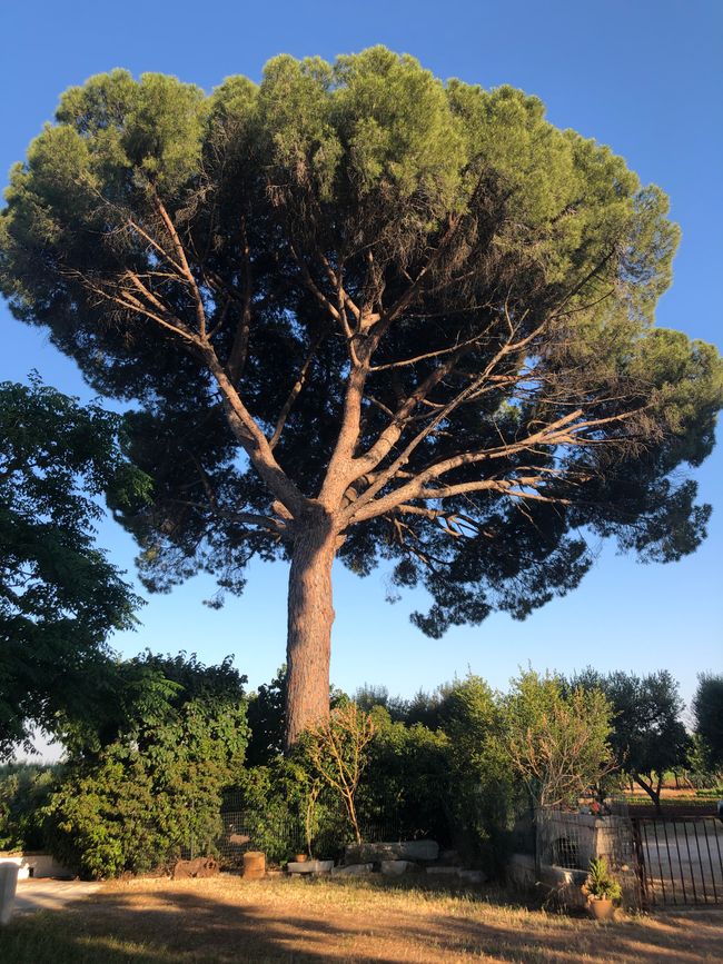 Bio Agriturismo Serragambetta