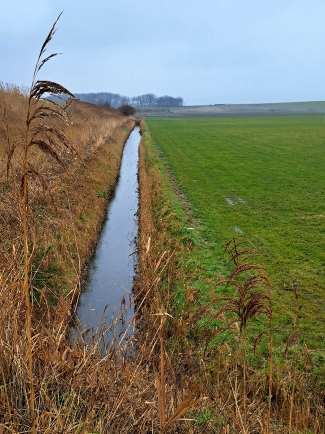 Nederland