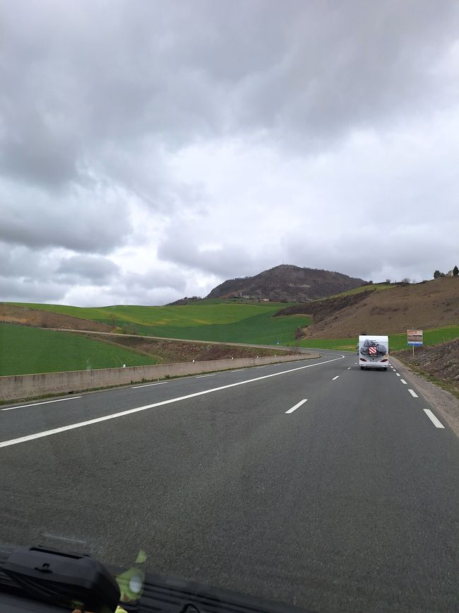 Saftige Wiesen
