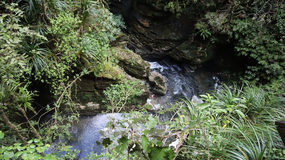 Wanderung am Waimoto Walkway