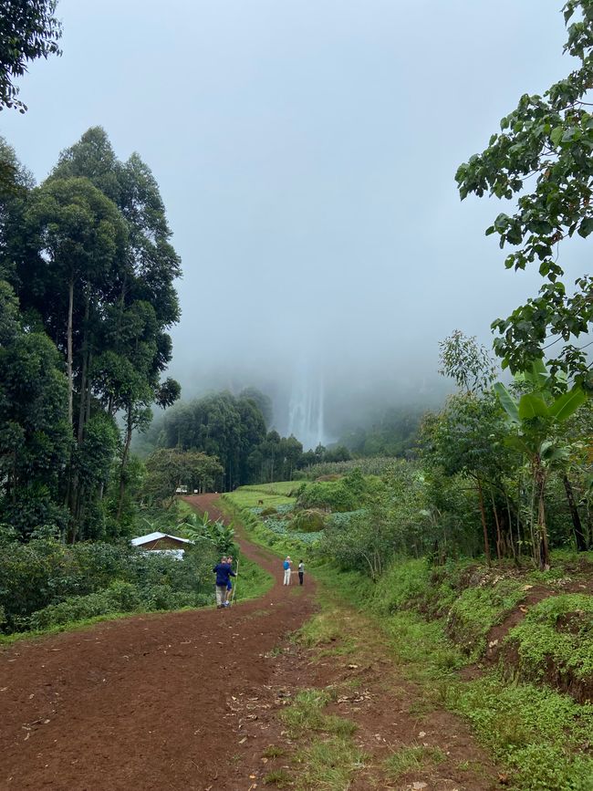 Jardín de rocas y cascadas