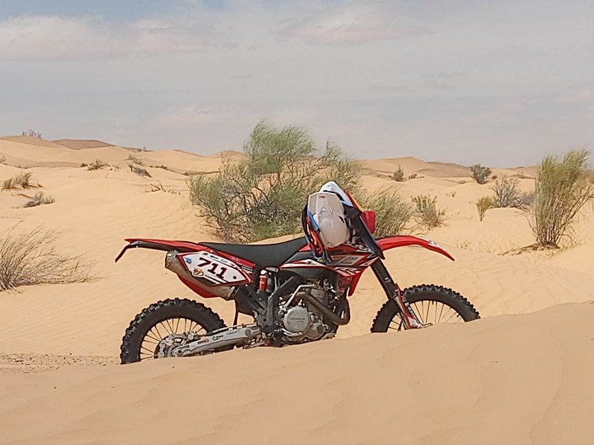 Sahara Impressionen