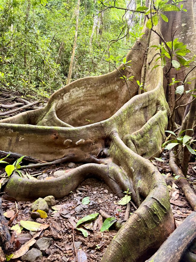 Unterwegs in Costa Rica