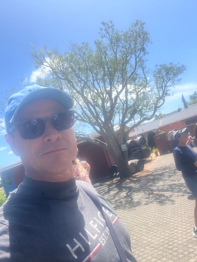 That’s again me 🧡