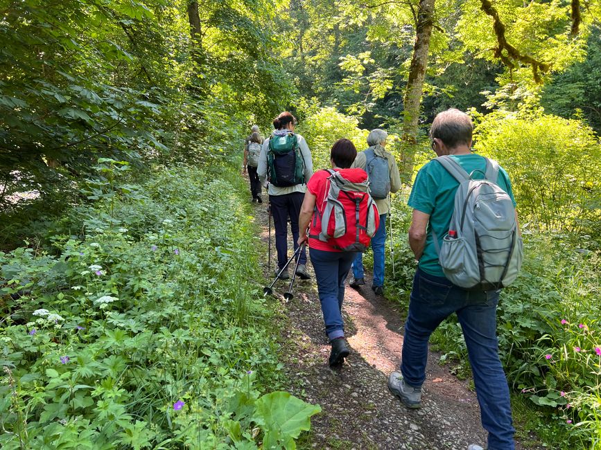 28 Wutachschlucht Pro Wolermoos