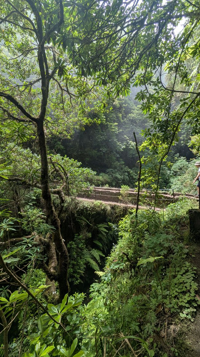 Tag 14: Levada do Caldeirão Verde & Nordküste