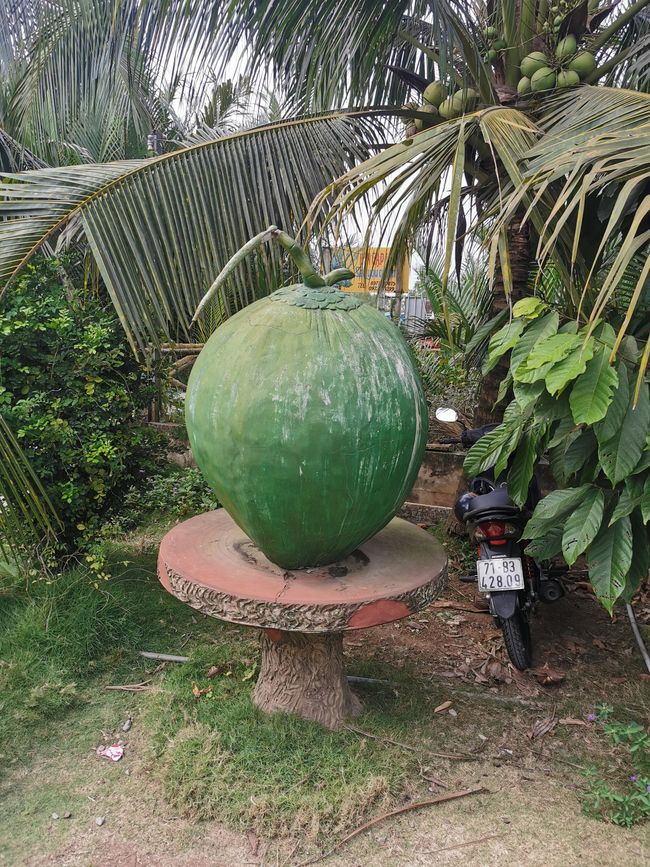 ... including at a coconut plantation ...