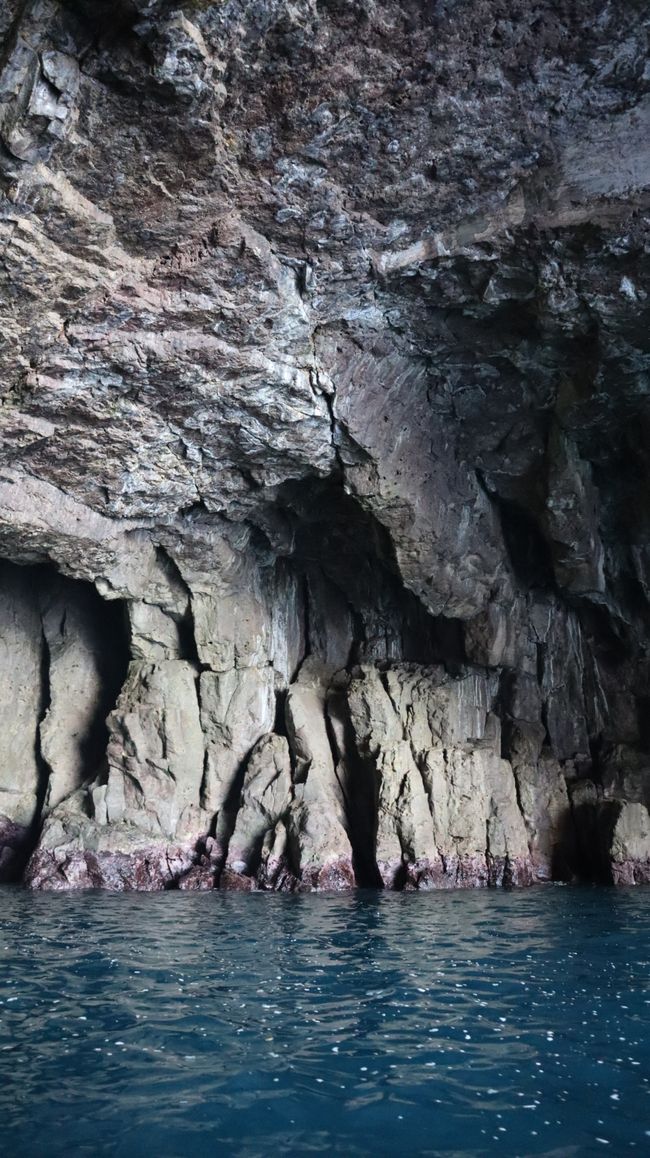 Bootstour entlang der Küste von Whitianga bis zur Cathedral Cove