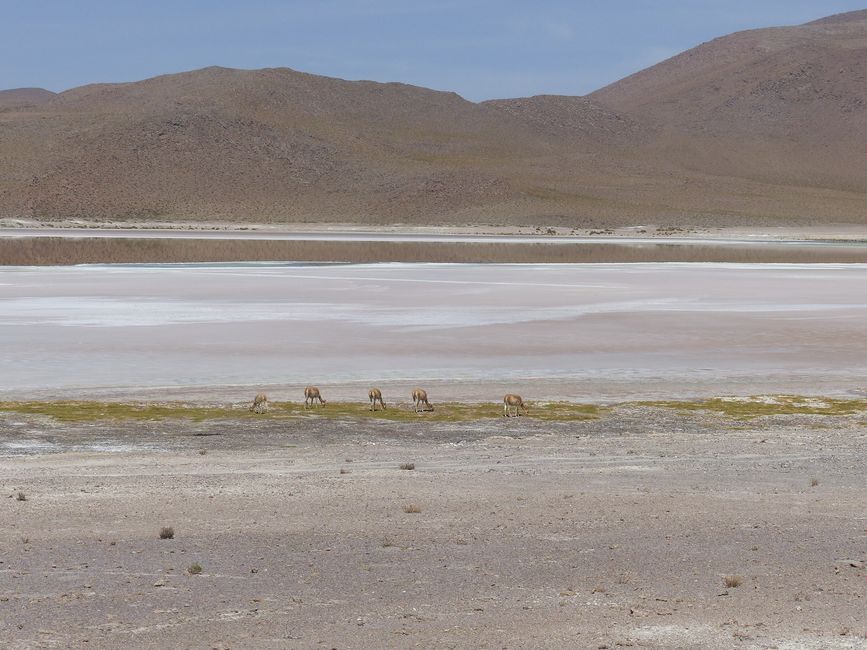 Chile, San Pedro de Atacama