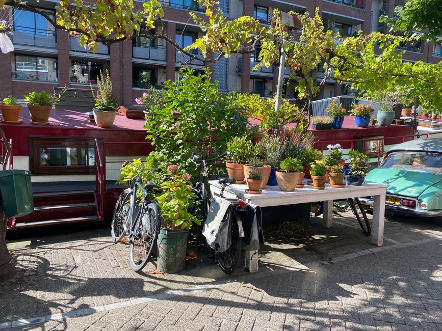 und Topfblumen mit Radstellplatz
