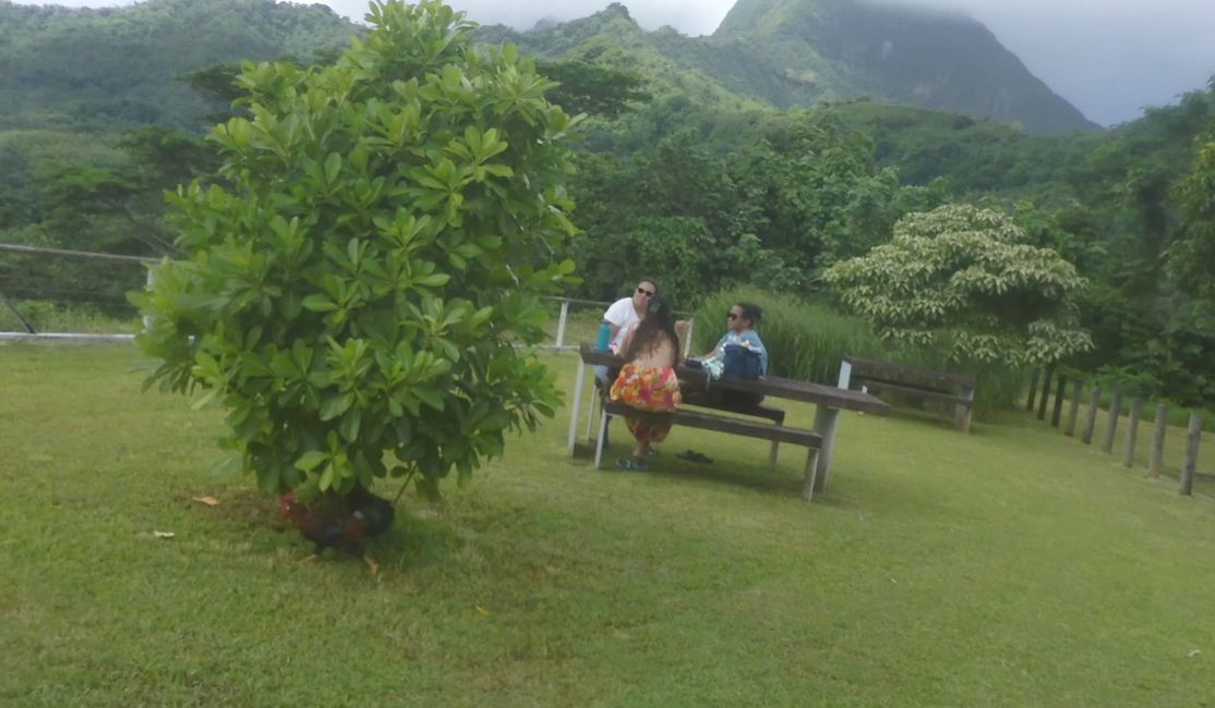 2025-04-30 Raiatea and Taha'a