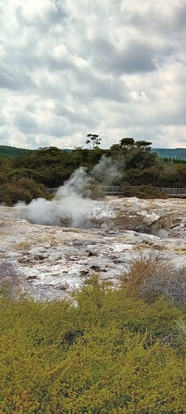 Wai-O-Tapu / Rotorua