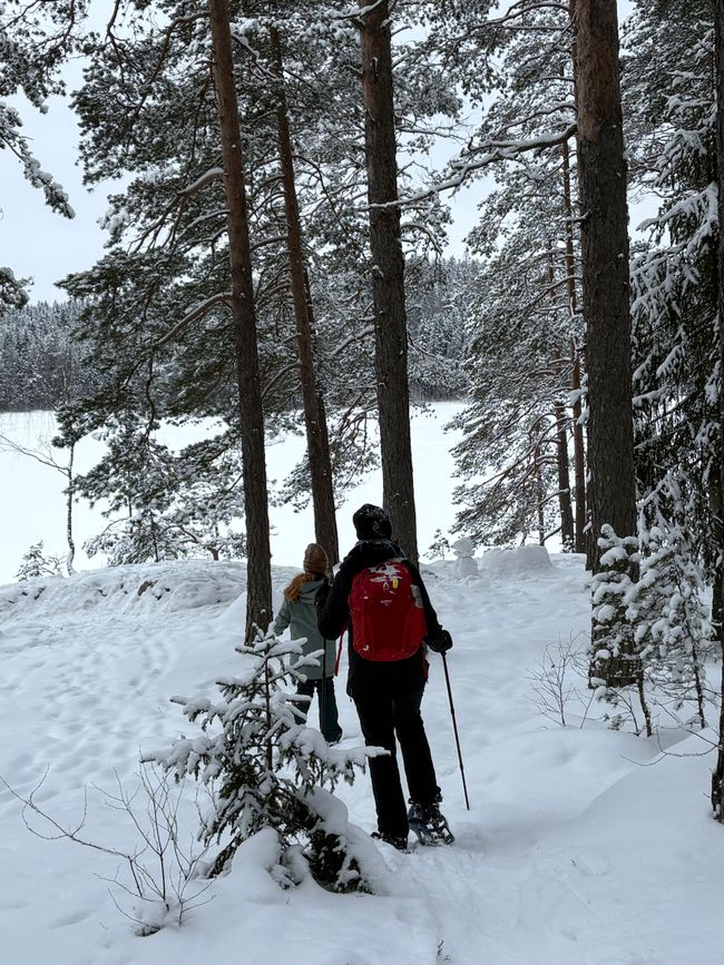 The finnish way