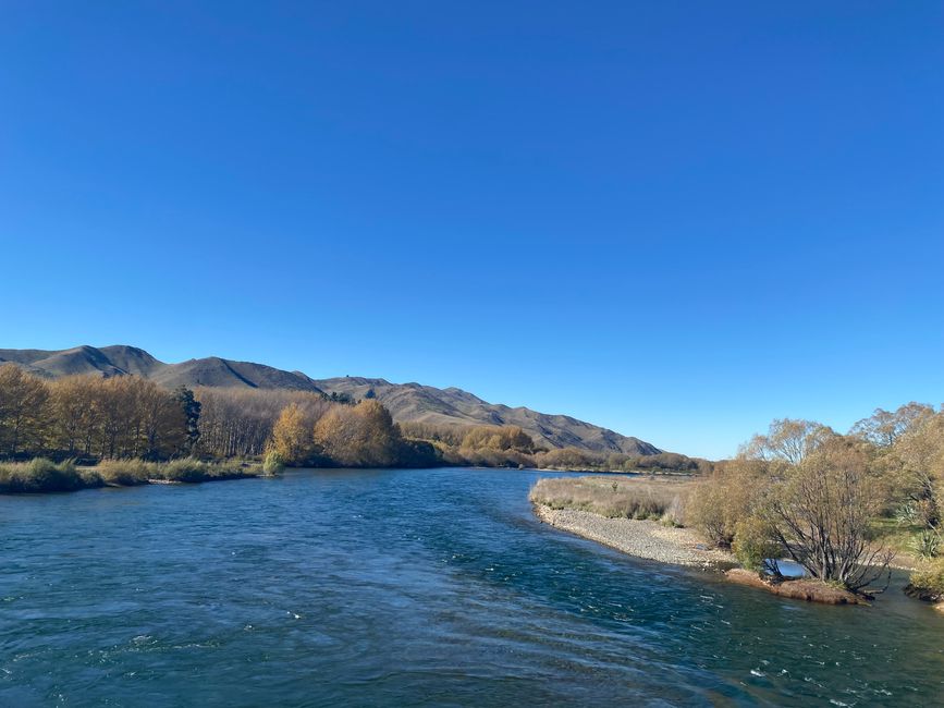 From Waimate to Twizel