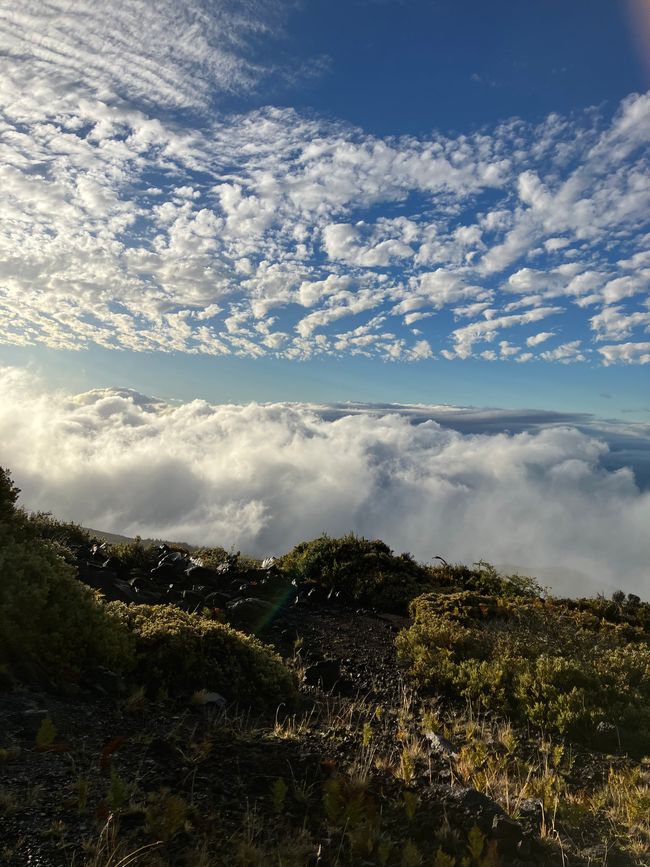 On the afternoon, we too stay hwy 378 to go up on Haleakala crater by 🚙, riding pretty soon above the clouds ☁️ 