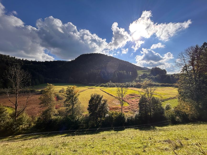 Schewmmebene am Lac des Brenets