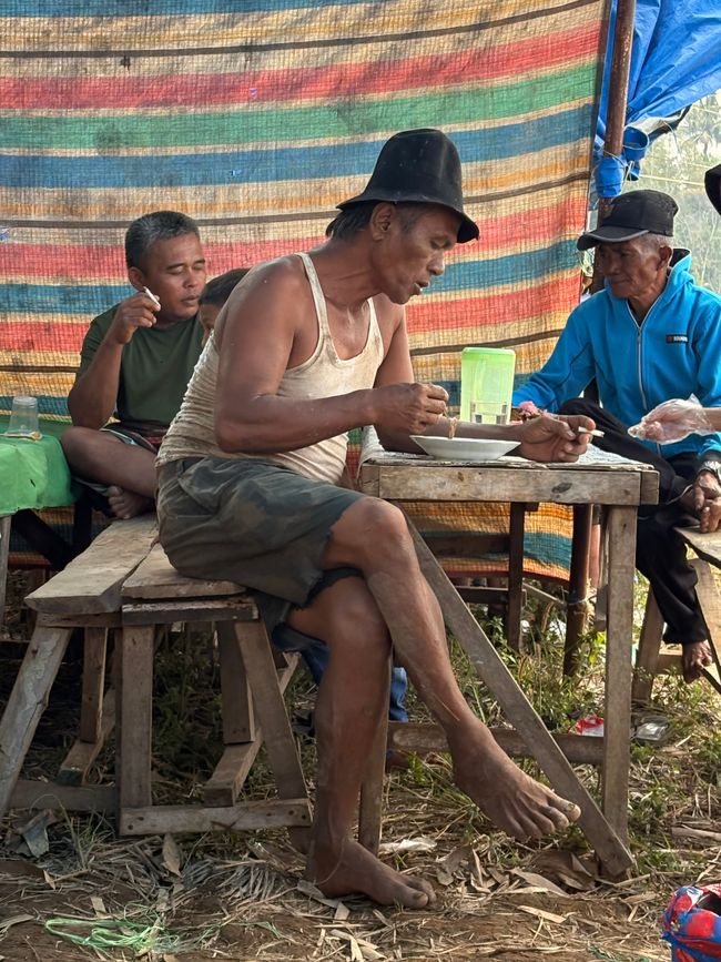 Pacu Jawi