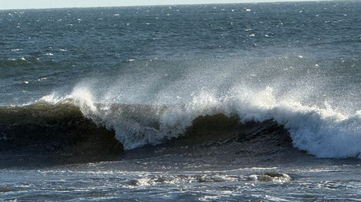 BLOG 20: Nicaragua - Costa del Pacífico y Bosque de Manglares