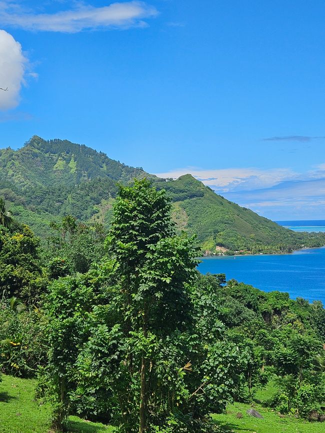 42. Jour Pape'ete, Tahiti 05.01.2026