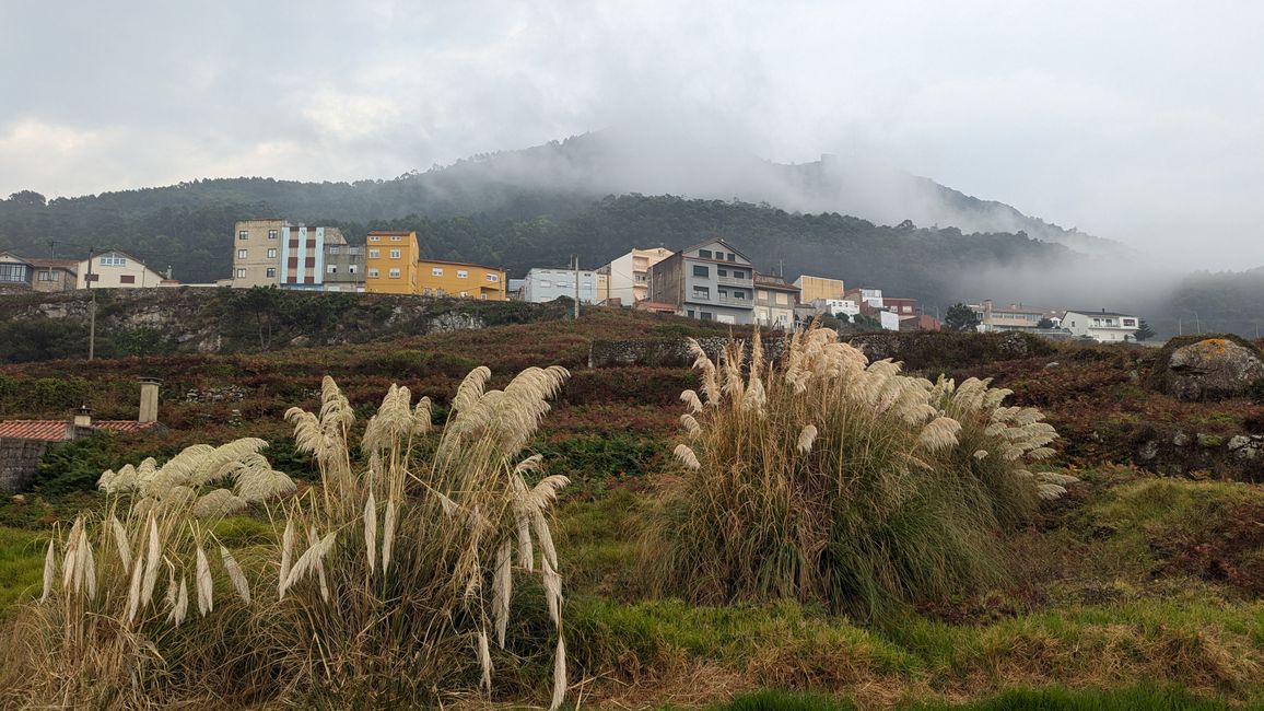 5. Stage Camino Portuguese da Costa from Ancora to A Guarda