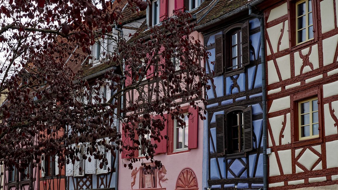 Colmar