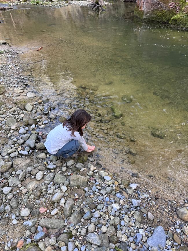 Schottisches Südamerika