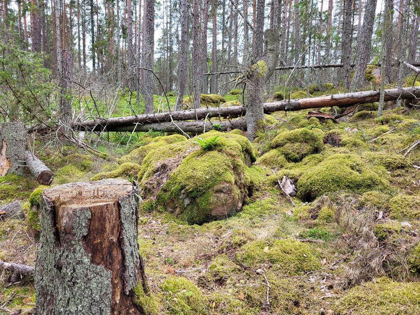 Naturschutzgebiet Stendörren