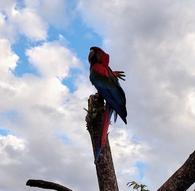 Brazil, Bonito