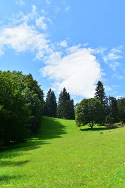 * * * Juniper Grove and Rock Face: a hike in the wild beauty of the Lochen Pass * * *