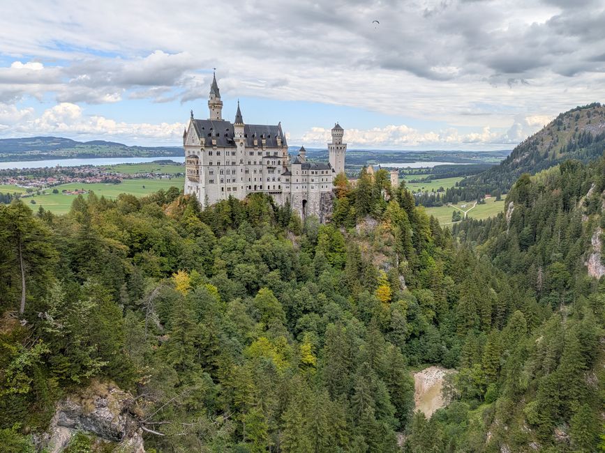 Forggensee 2026 - Neuschwanstein und Zugspitze