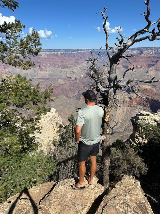 Lago Powell/ Horse Shoe/ Gran Cañón