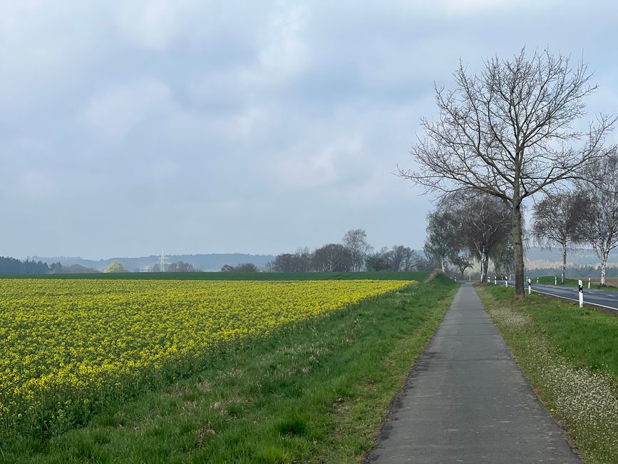 09 vers Lauenburg