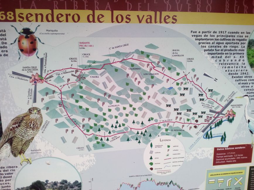 Vadocondes Picnic Area (Ribera del Duero, Burgos) (December 2021)