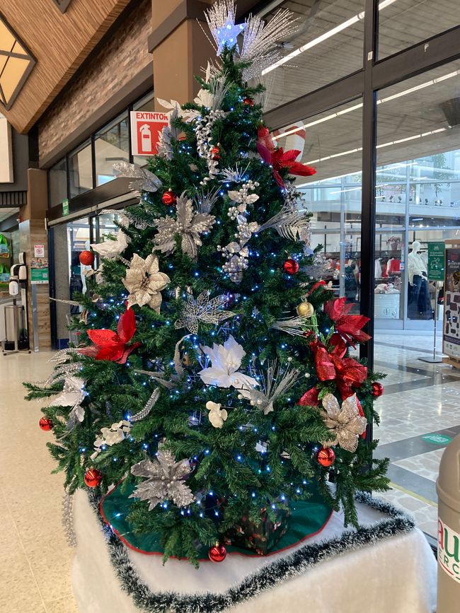 Zahlen – algunos datos