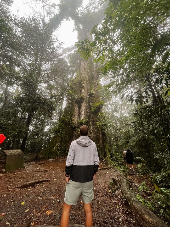 La Fortuna es español y significa "la suerte" 🌋