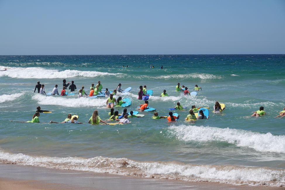 Sulle spiagge di Manly ....