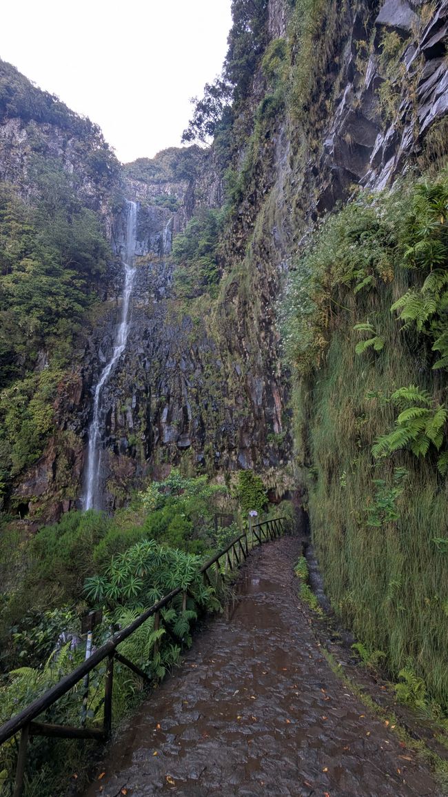 Tag 10: Levada das 25 Fontes und Risco & Feenwald