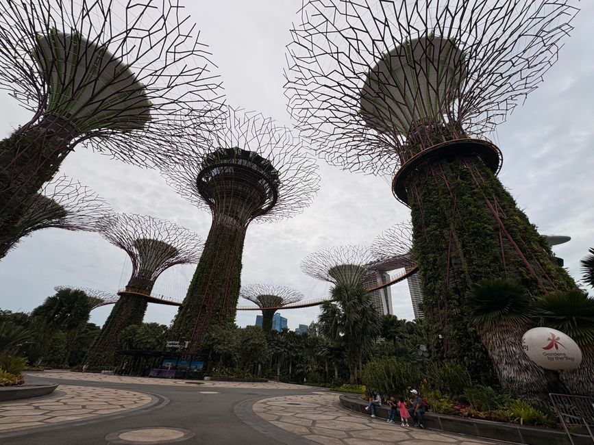 Garden by the bays tagsüber