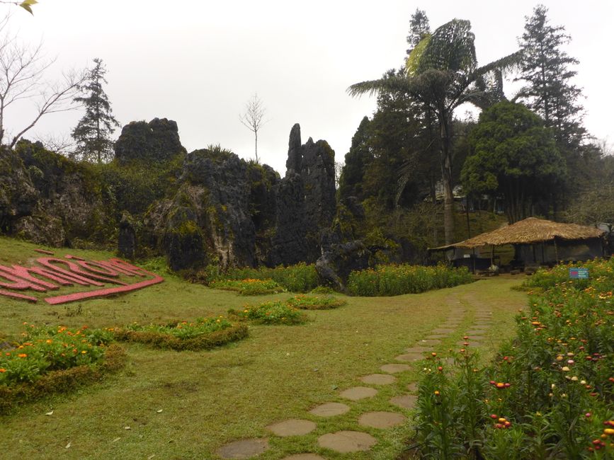 Hintereingang zum Park