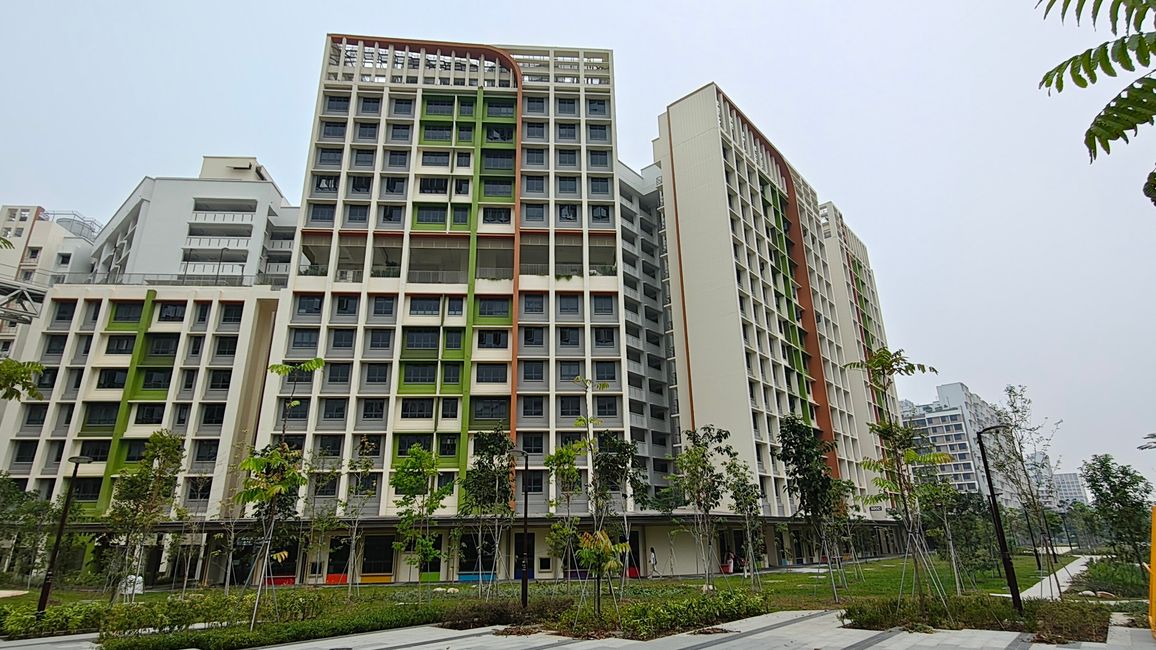 Habiter de manière naturelle et harmonieuse à Singapour
