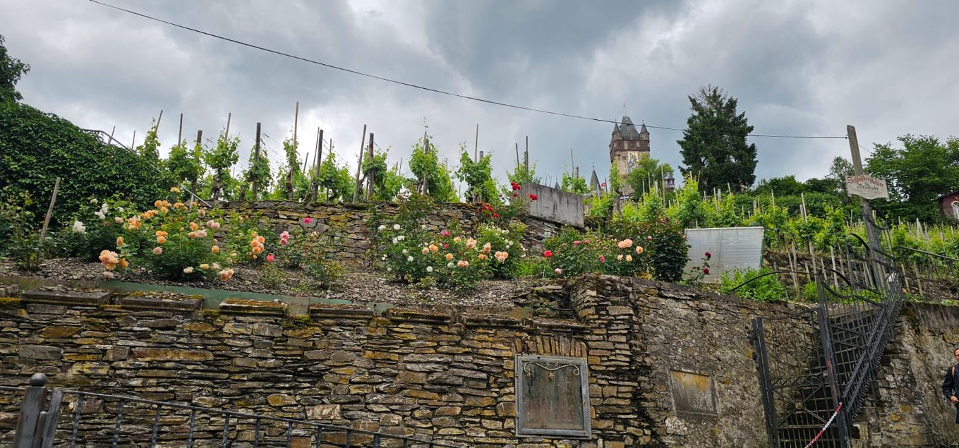 Cochem sul Mosella