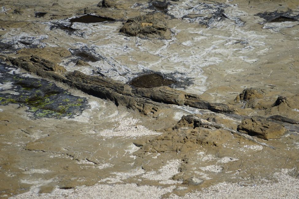 Clifden - Monkey Island - Riverton - Invercargill - Nugget Point