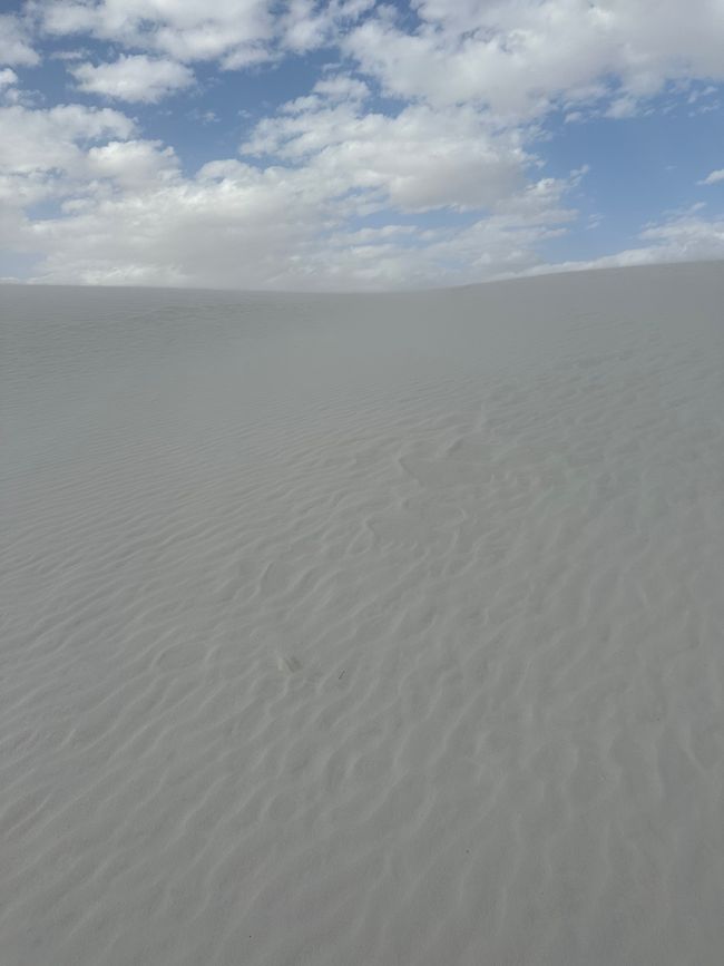 Arizona/ New Mexico/ Petrified Forest/White Sands