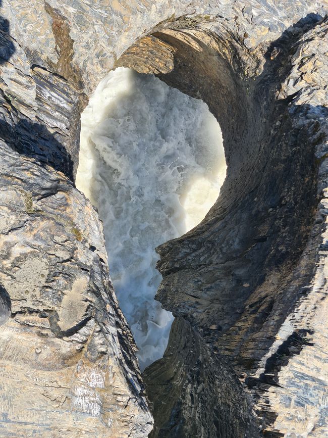 Canmore (Yoho) - Osos y Cascadas