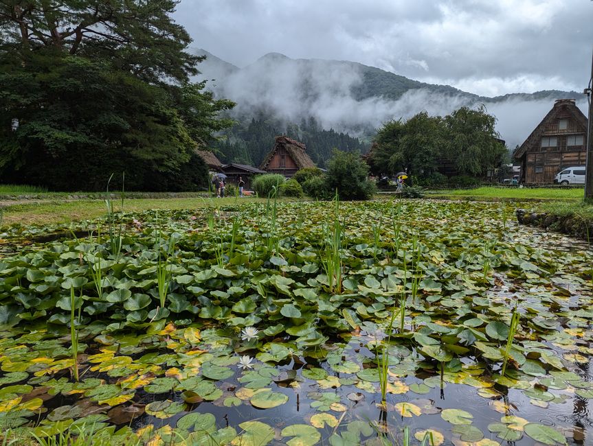 Kanazawa y Shirakawa-go