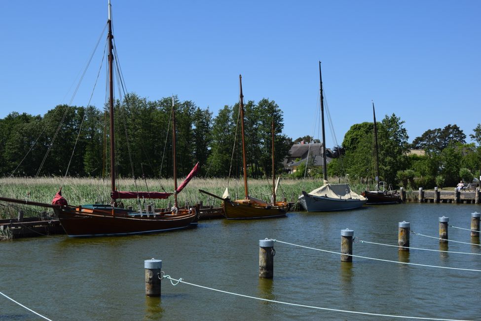 Darß und Fischland im Mai 2018