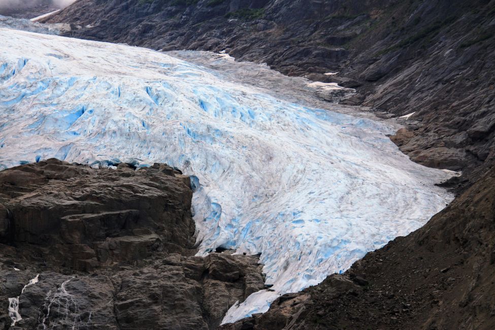 Glaciar Bear