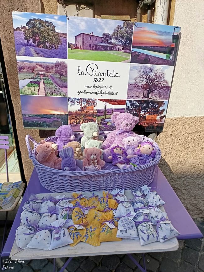 Tuscania und Wein
Mein Schiff Relax
11. Juni - 20. Juni 2025